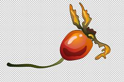 Vector autumn yellow rose hip plant PNG set Product Image 3