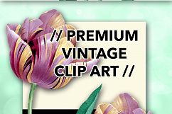 Florals - Vintage Lavender Gold Tulip Product Image 3