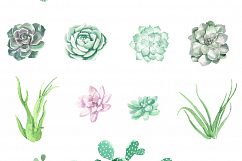 Watercolor Cactus and Succulents Collection Product Image 10
