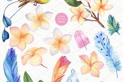 Tropical Blooming Product Image 2
