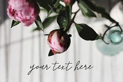 10 Pink peonies, styled stock photos Product Image 2