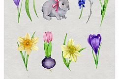 Spring Product Image 2