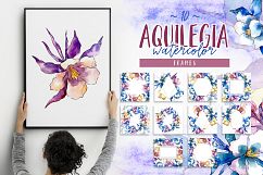 Beautiful aquilegia PNG watercolor set Product Image 2
