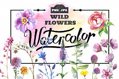 Wild Flowers watercolor PNG set Product Image 1