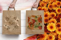 Cool orange gazania PNG watercolor set Product Image 2