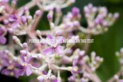 9 Macro Flower Photos Product Image 4