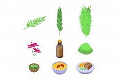 Rosemary icons set, isometric style Product Image 1