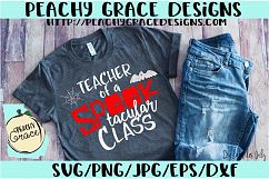 Teacher of Spooktacular Class SVG Product Image 2