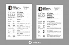 Elegance Resume / CV Product Image 3