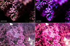 Lilac Lr Presets Product Image 7