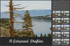 Fuji Film Simulation Modes Profiles LR 7.3 ACR 10.3 Product Image 2
