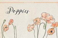 Watercolor Poppies Product Image 1