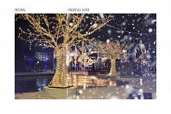 Vector backgrounds of snowfall Product Image 7