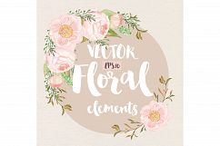 Vector Watercolor Rose Blush clipart Product Image 1
