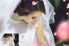 21 Rose Petal Photoshop Overlays Product Image 4