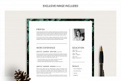 FERNS Resume/CV + Cover Letter Product Image 1