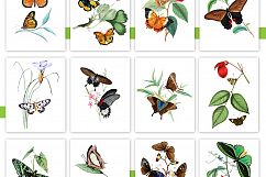 Entire Vintage Collection -Over 1000 Illustrations Product Image 22