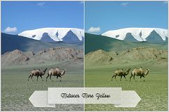 Variations Profiles LR7.3 ACR10.3 Product Image 13
