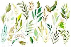 Hand Drawn watercolor Forest Product Image 6