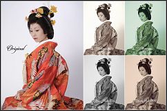 Historical Toning I Profiles LR 7.3 &amp; ACR 10.3 Product Image 5