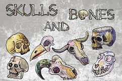 Skulls and Bones Horror set Product Image 2