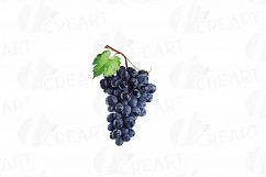Grapes clip art watercolor wine grape, branch, flowers, leaf Product Image 14