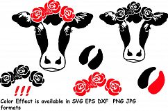 Bandanna Flower Heifer Cow SVG, Glitter farm cowboy 795S Product Image 4