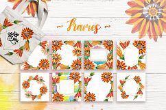 Cool orange gazania PNG watercolor set Product Image 7