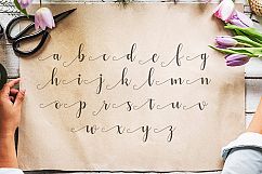 Alyshia Script Product Image 3