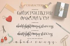 Mellany Typeface Product Image 3