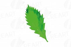 Green leaves and branches watercolor clip art pack, hand painted leafs collection. PNG, jpg, svg, vector illustrator &amp; corel files included Product Image 4