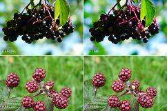 Berries Lr Presets Product Image 8