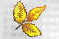 Vector autumn yellow rose hip plant PNG set Product Image 2