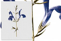 Florals - Vintage Blue Sage Product Image 2