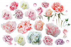 Hand drawn watercolor roses 2 Product Image 3