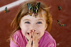 112 Butterfly Photo Overlays 2.0 Product Image 7