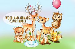 Woodland Animals Clipart Images by Whimseez Product Image 1