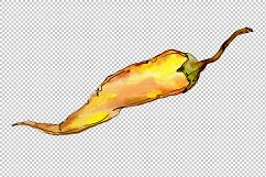 Green and yellow pepper vegetables PNG watercolor set Product Image 7