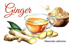 Ginger.Watercolor collection Product Image 1