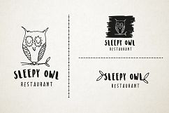 Feminine premade hand drawn logo 01 Product Image 11