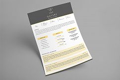 Black Gold Resume Template Product Image 5