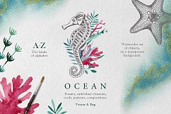 Ocean Product Image 1