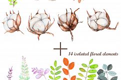 Cotton watercolor clip art Product Image 4