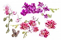 Hand Drawn Watercolor Tropic 3 Product Image 5