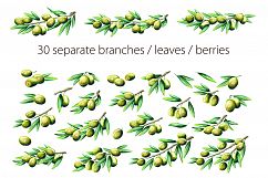 Watercolor olives and olive oil set Product Image 2