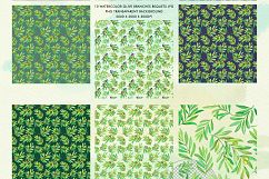 Watercolor Olive Branch Product Image 8