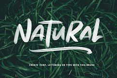 SVG Font Brushes Product Image 3