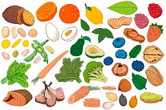 Healthy and Fresh. Food collection Product Image 2