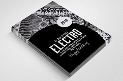 Electro Flyer Product Image 2