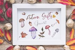 Gifts of autumn PNG watercolor set Product Image 2